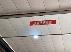 ̶ʽ